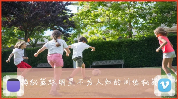 揭秘篮球明星不为人知的训练秘籍